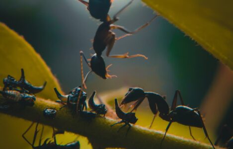 How to get most out of an engagement survey?