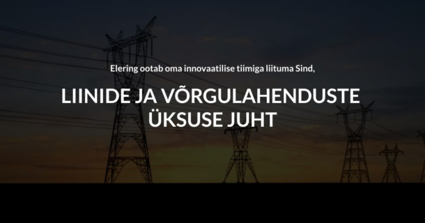 LIINIDE JA VÕRGULAHENDUSTE ÜKSUSE JUHT