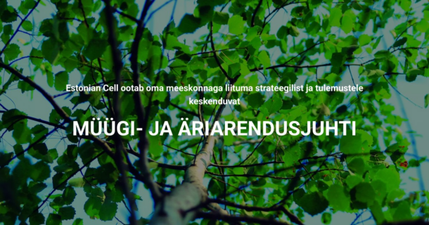 MÜÜGI- JA ÄRIARENDUSJUHT