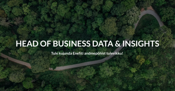 HEAD OF BUSINESS DATA & INSIGHTS