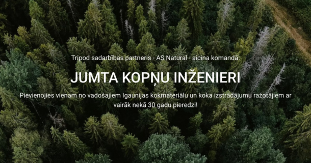 INŽENIERIS (JUMTA KOPŅU PROJEKTĒŠANA)